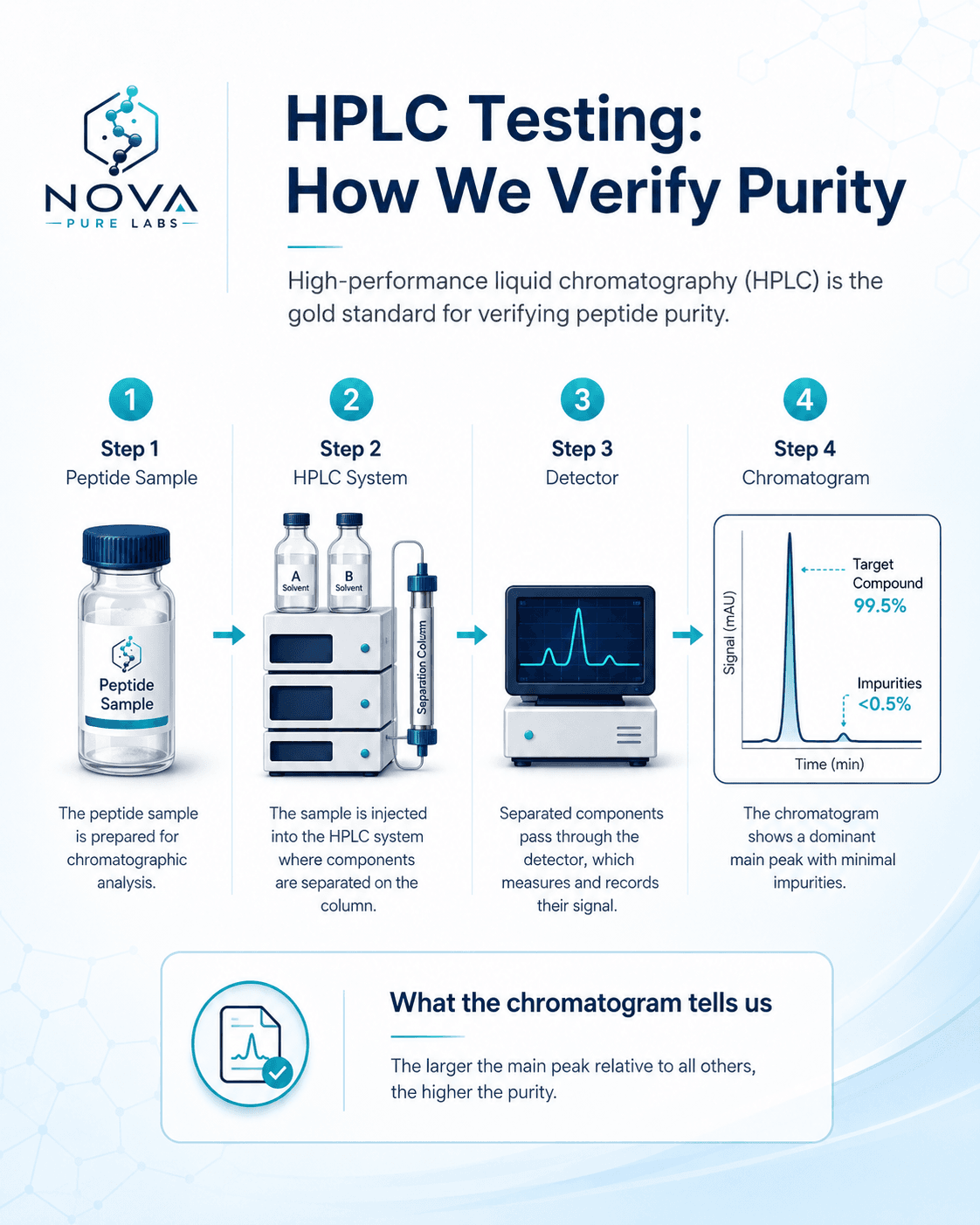HPLC Testing Process: How chromatography verifies peptide purity